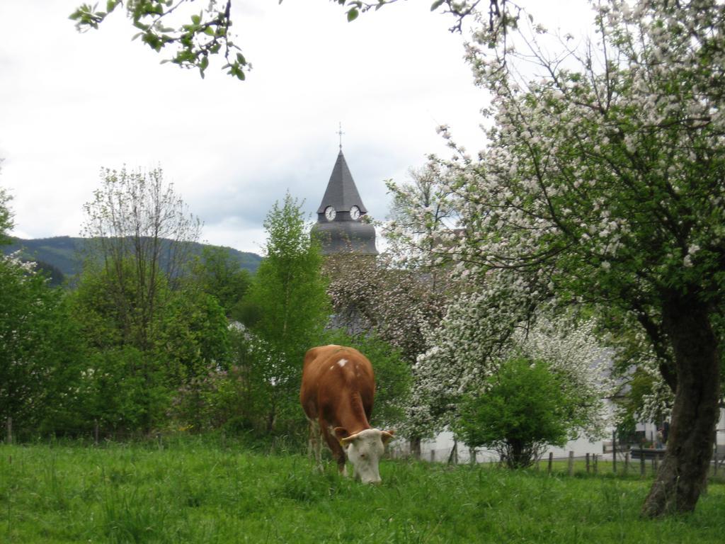 Ferienwohnung Moos-Hochsauerland Wiemeringhausen Quarto foto
