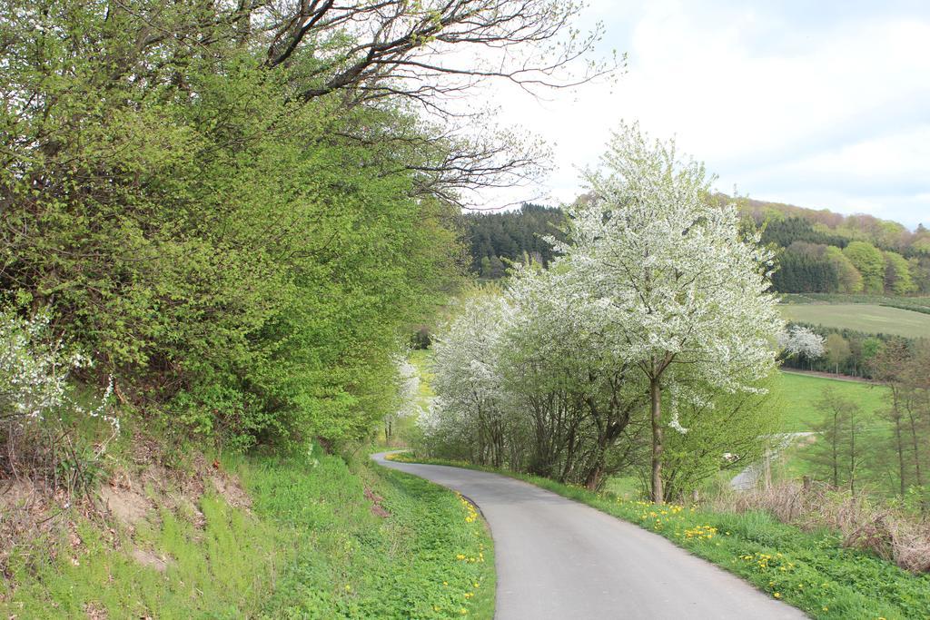 Ferienwohnung Moos-Hochsauerland Wiemeringhausen Quarto foto